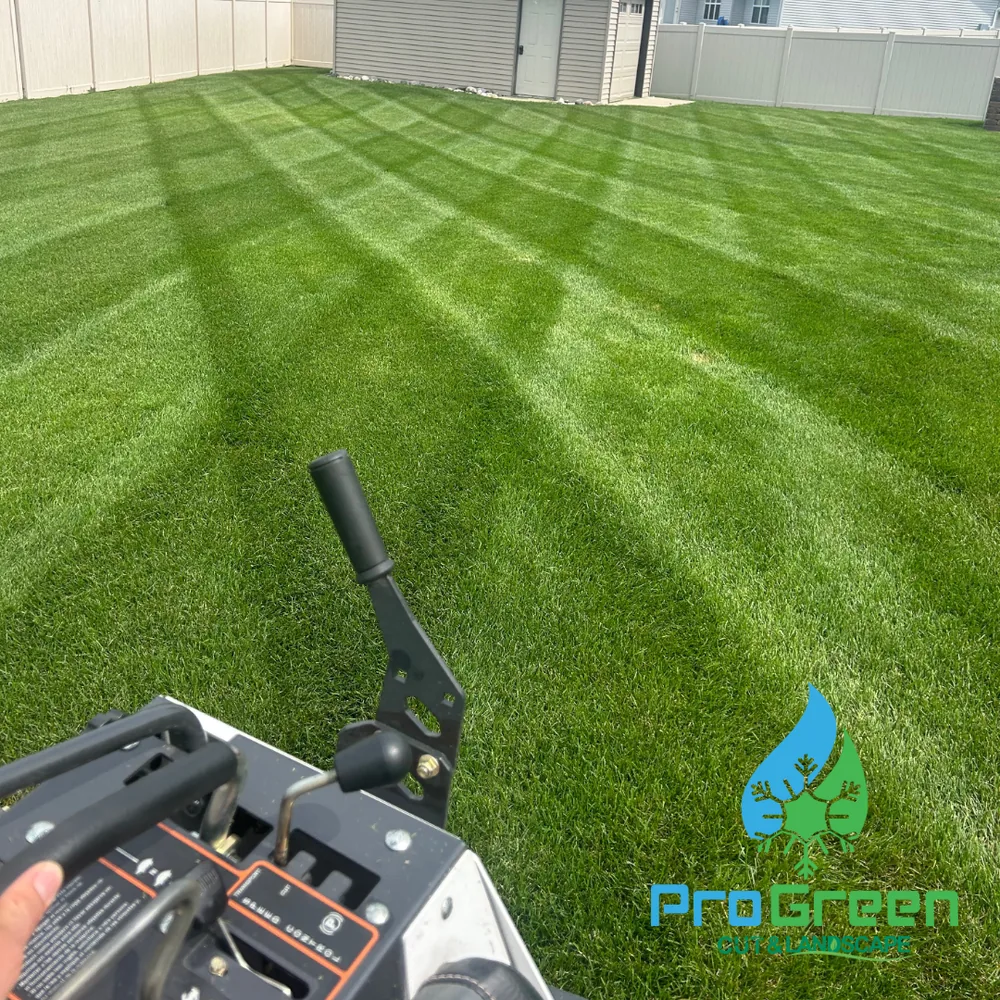 Striped lawn detail